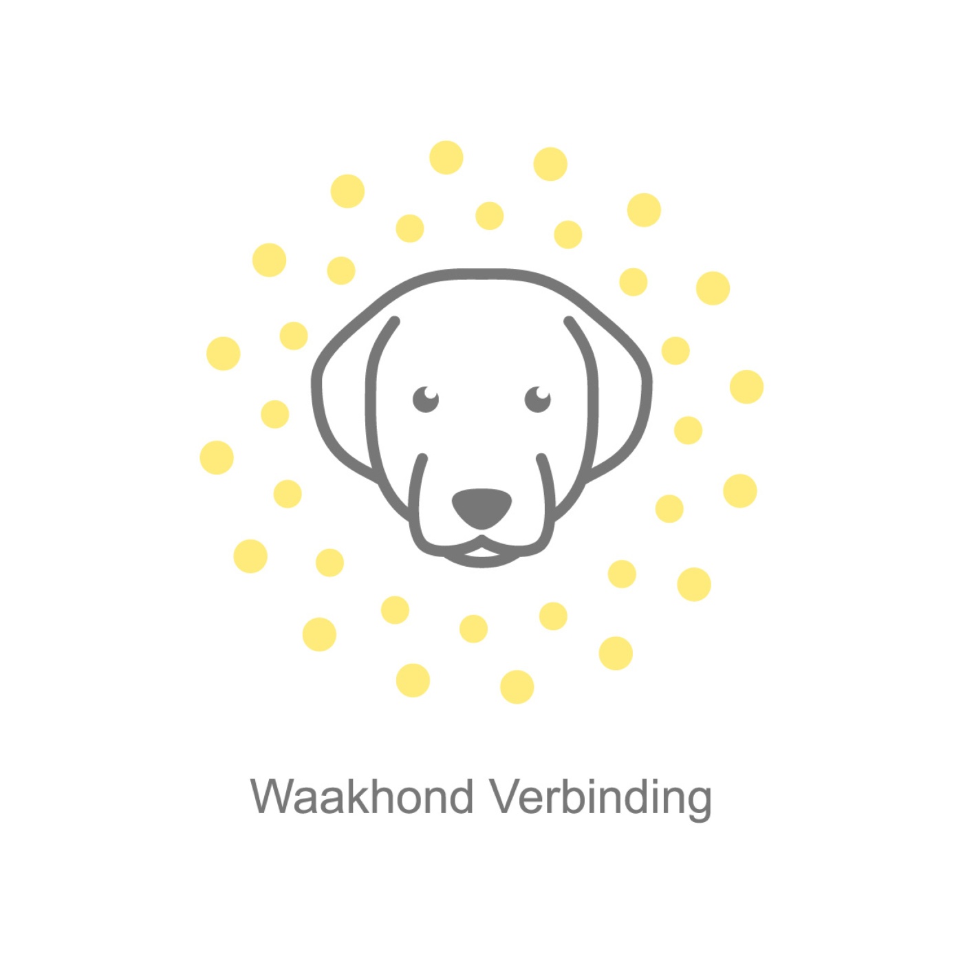 100.met tekst_55%.jpg