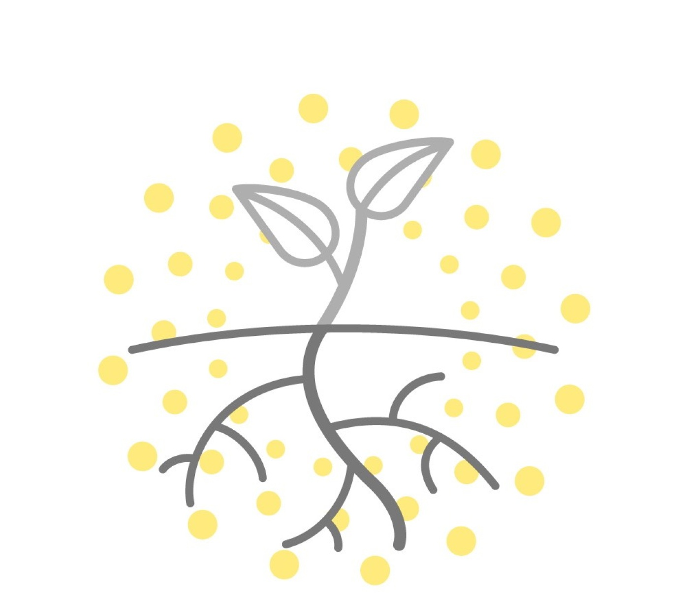 18.zonder tekst_55%_3.jpg