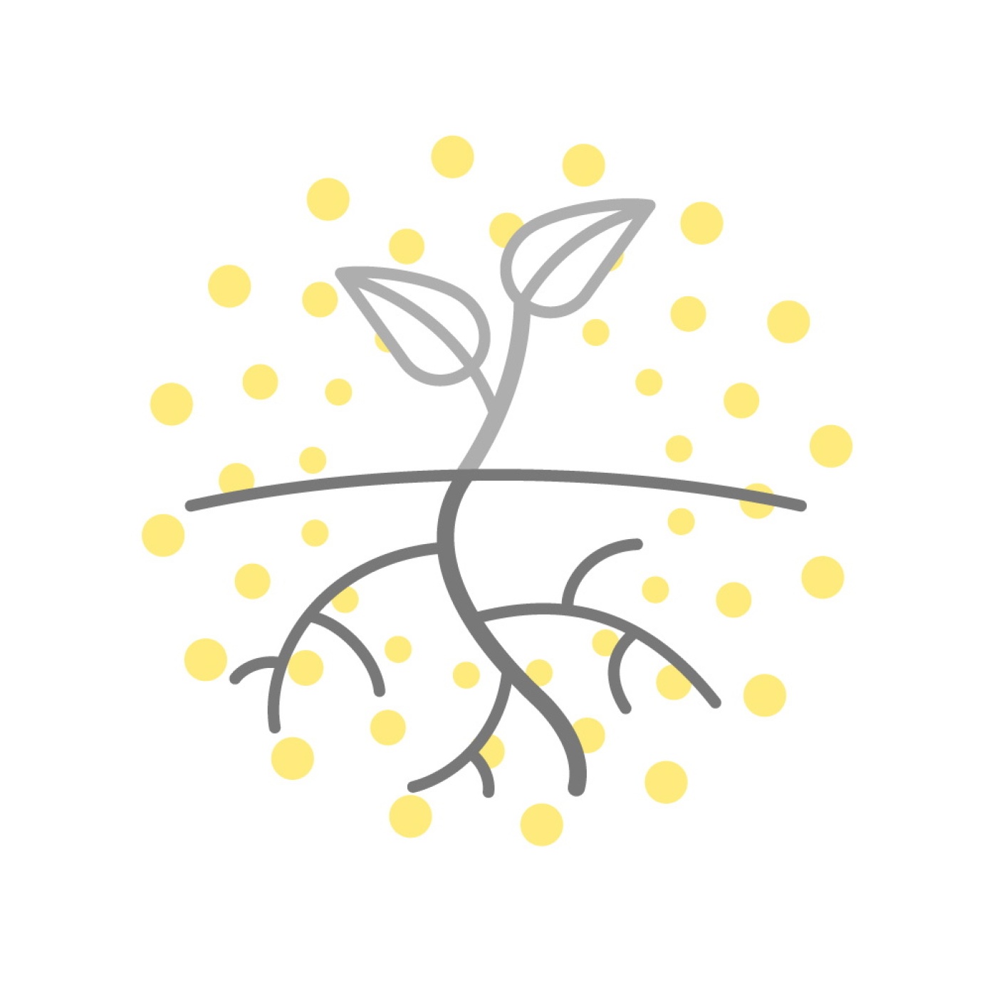 18.zonder tekst_55%_3.jpg