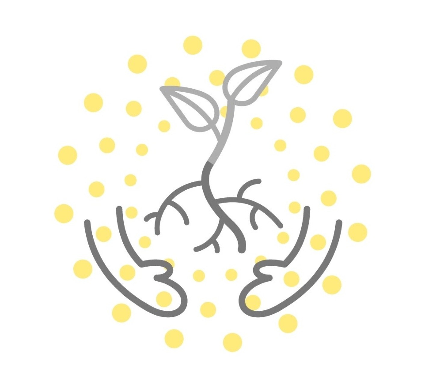 23.zonder tekst_55% - versie 3.jpg