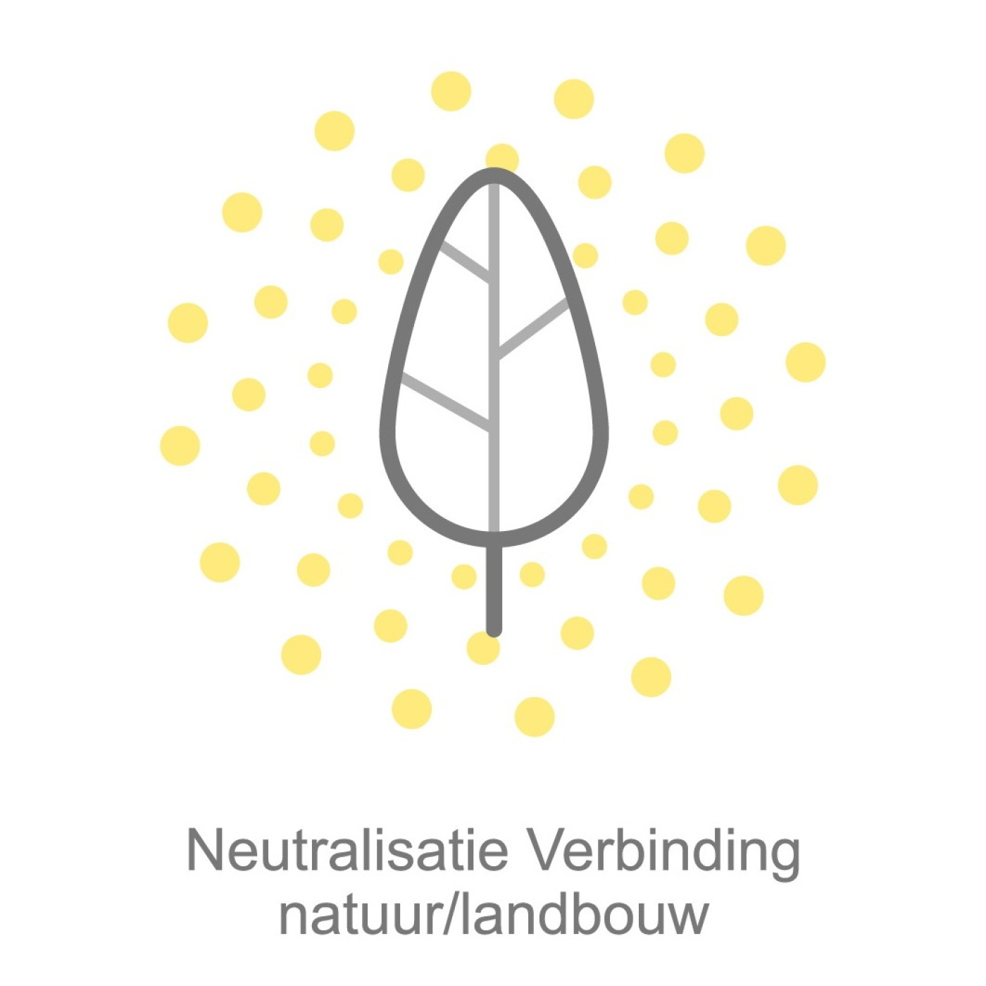 5.met tekst_55%_2.jpg