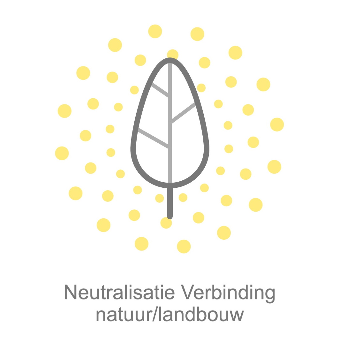 5.met tekst_55%_2.jpg