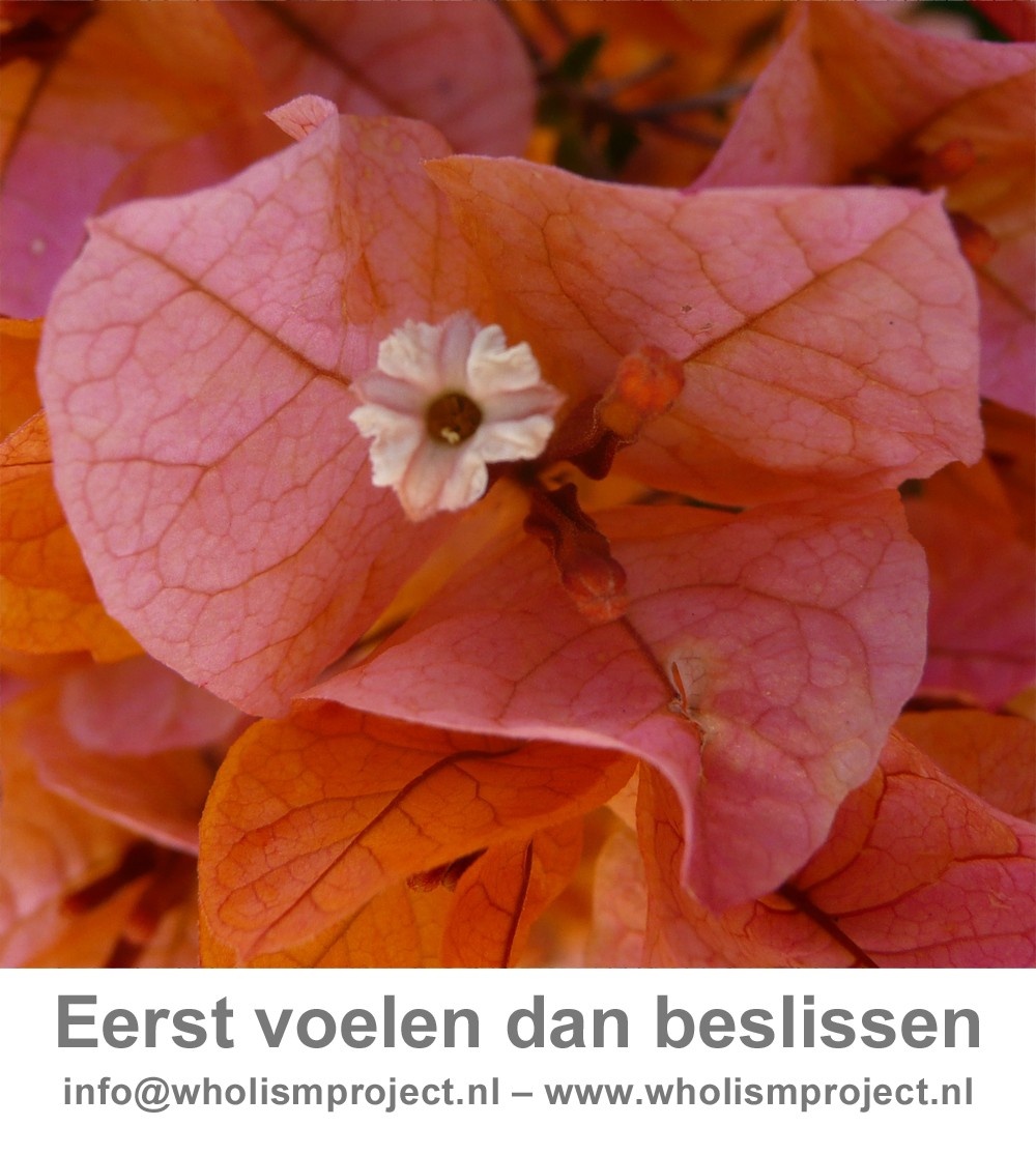 bloem_met_onderschrift.jpg