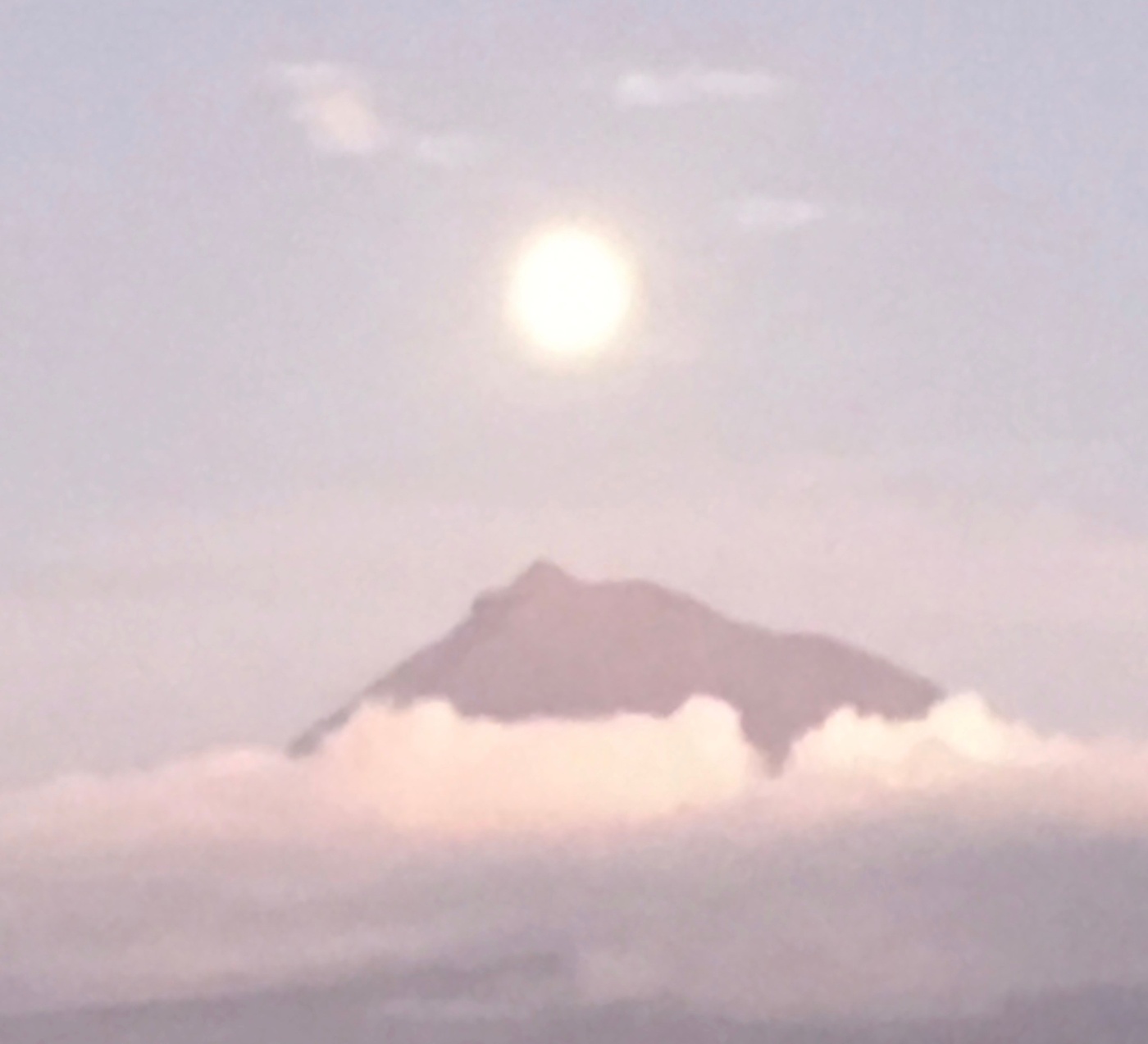 img_1195.jpeg